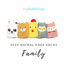 New Animal Knee High Socks with Ears-Baby Socks-My Babblings-Baby Size-Honey Bear-My Babblings™